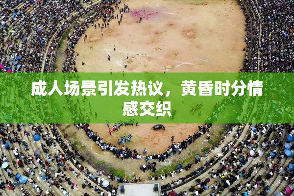 成人场景引发热议，黄昏时分情感交织