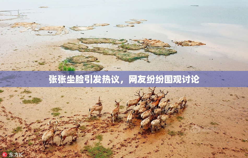 张张坐脸引发热议，网友纷纷围观讨论