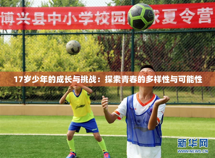 17岁少年的成长与挑战：探索青春的多样性与可能性