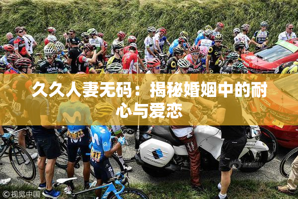 久久人妻无码：揭秘婚姻中的耐心与爱恋