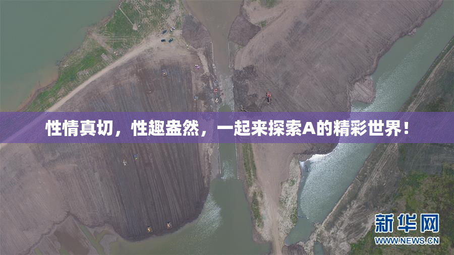 性情真切，性趣盎然，一起来探索A的精彩世界！