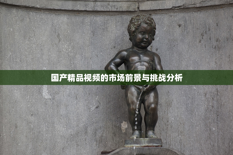 国产精品视频的市场前景与挑战分析