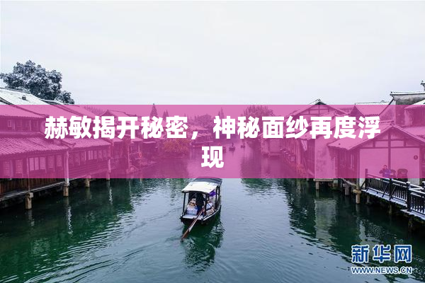 赫敏揭开秘密，神秘面纱再度浮现