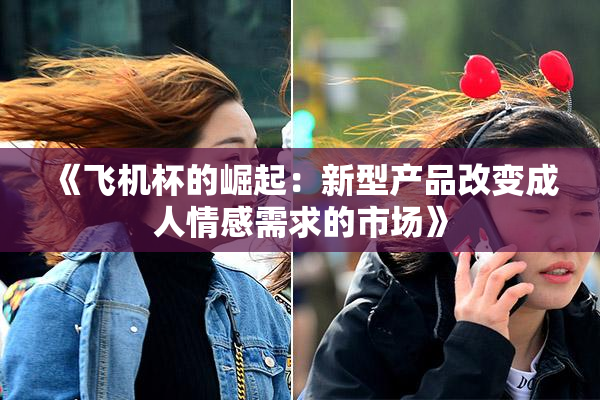 《飞机杯的崛起：新型产品改变成人情感需求的市场》