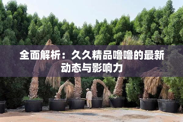 全面解析：久久精品噜噜的最新动态与影响力