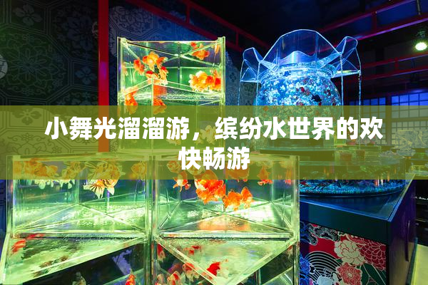 小舞光溜溜游，缤纷水世界的欢快畅游