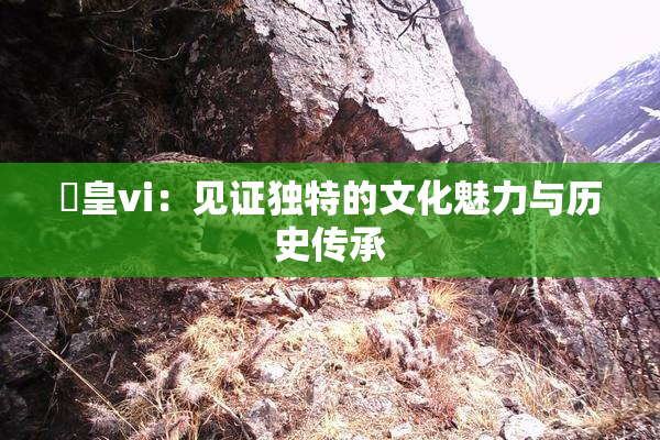 嘼皇vi：见证独特的文化魅力与历史传承