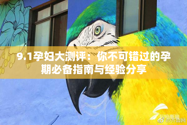 9.1孕妇大测评：你不可错过的孕期必备指南与经验分享