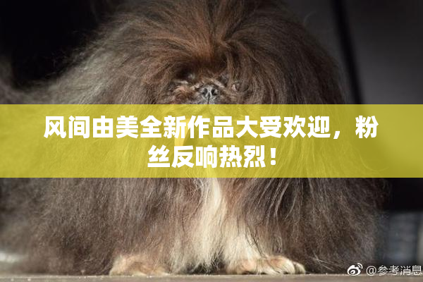 风间由美全新作品大受欢迎，粉丝反响热烈！