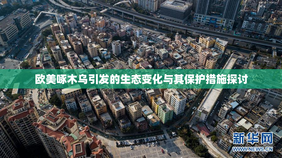 欧美啄木乌引发的生态变化与其保护措施探讨