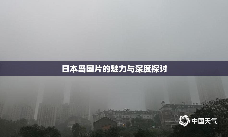 日本岛国片的魅力与深度探讨