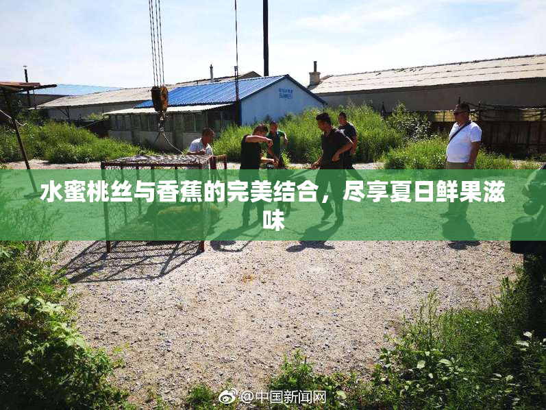 水蜜桃丝与香蕉的完美结合，尽享夏日鲜果滋味