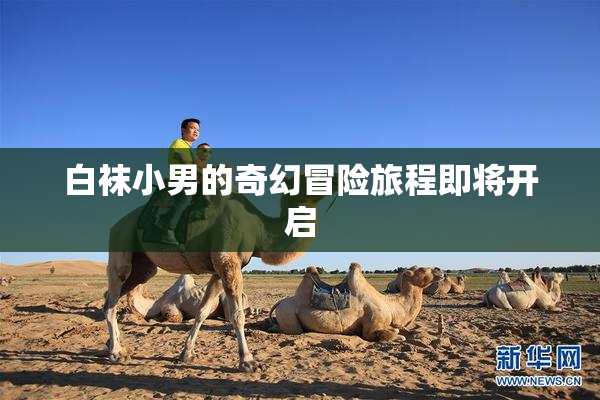 白袜小男的奇幻冒险旅程即将开启