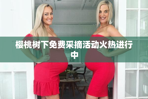 樱桃树下免费采摘活动火热进行中