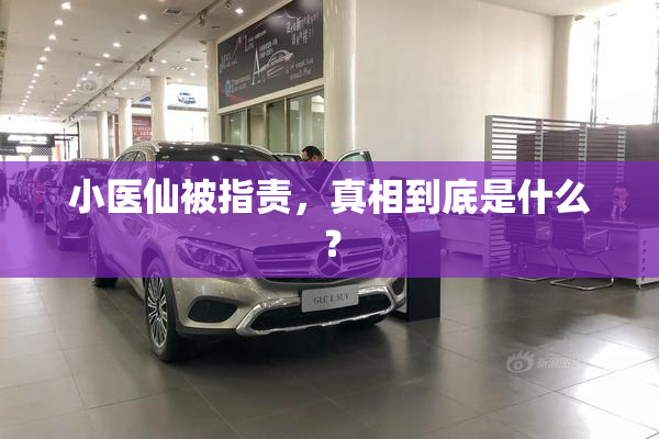 小医仙被指责，真相到底是什么？