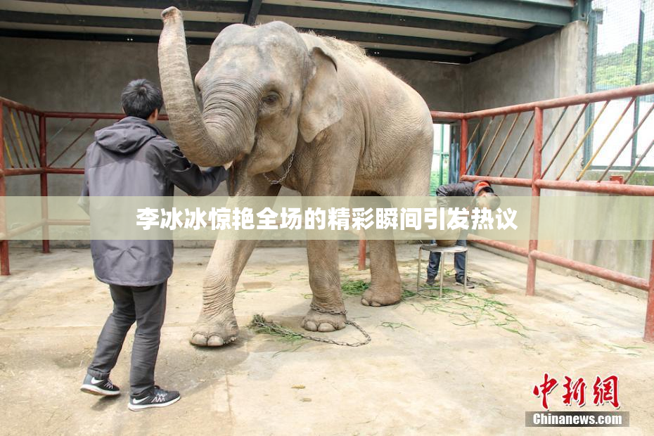李冰冰惊艳全场的精彩瞬间引发热议