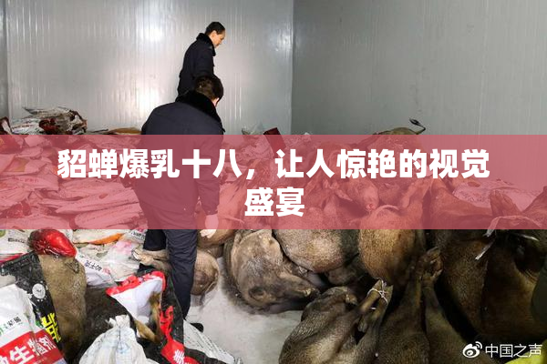 貂蝉爆乳十八，让人惊艳的视觉盛宴