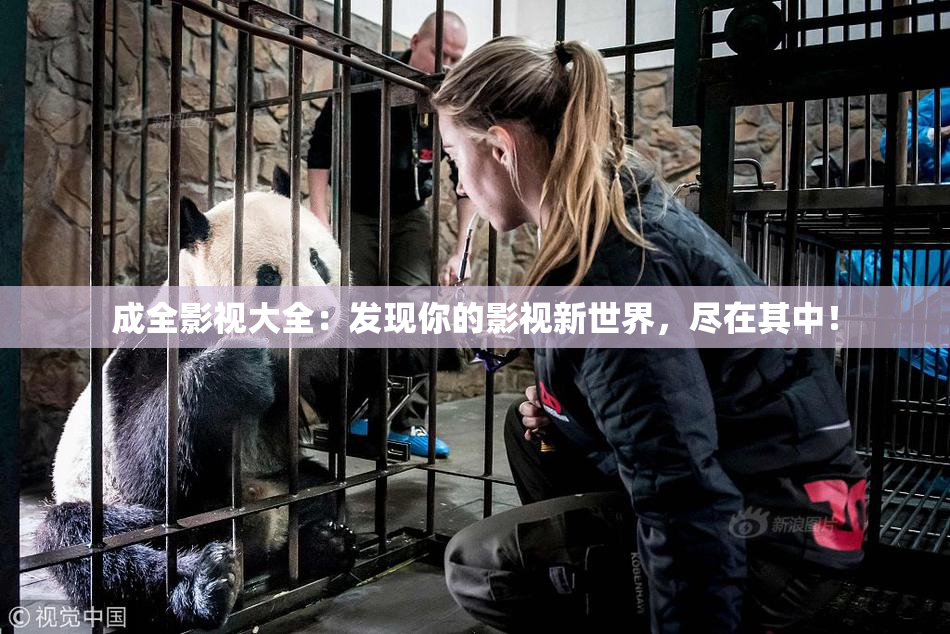 成全影视大全：发现你的影视新世界，尽在其中！