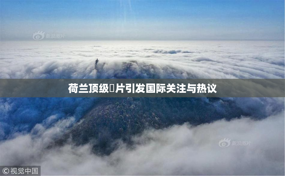 荷兰顶级婬片引发国际关注与热议