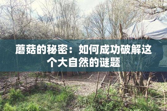 蘑菇的秘密：如何成功破解这个大自然的谜题