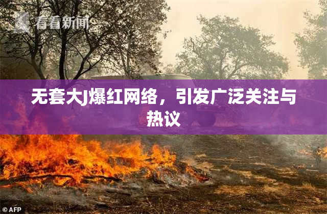 无套大J爆红网络，引发广泛关注与热议