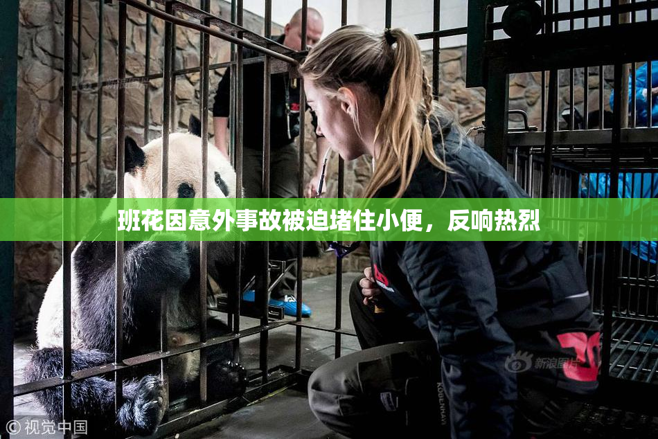 班花因意外事故被迫堵住小便，反响热烈