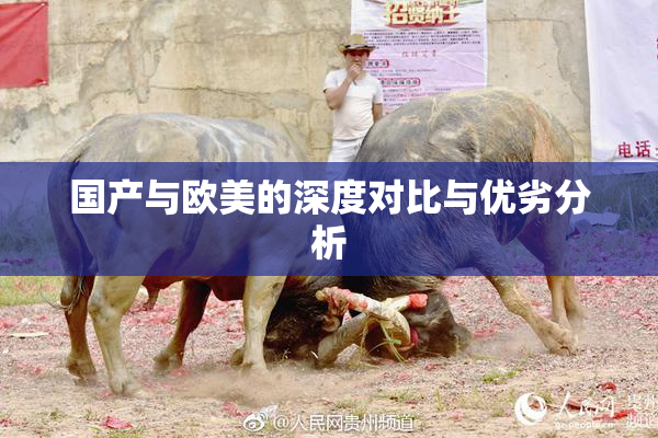 国产与欧美的深度对比与优劣分析