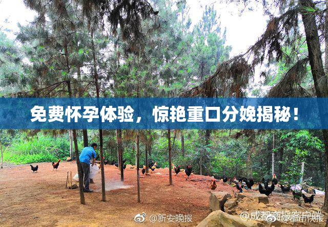 免费怀孕体验，惊艳重口分娩揭秘！
