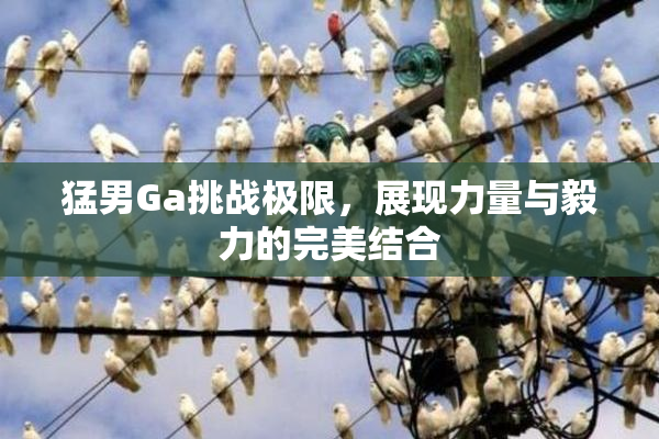 猛男Ga挑战极限，展现力量与毅力的完美结合