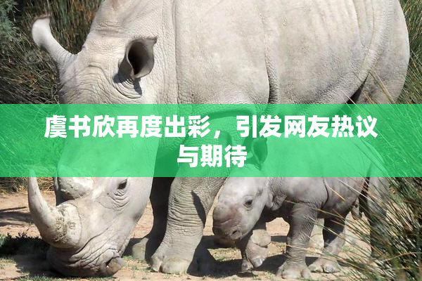 虞书欣再度出彩，引发网友热议与期待