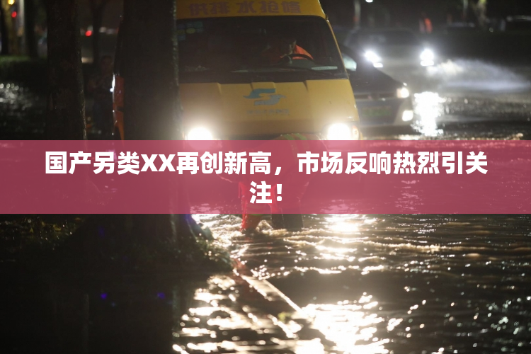 国产另类XX再创新高，市场反响热烈引关注！