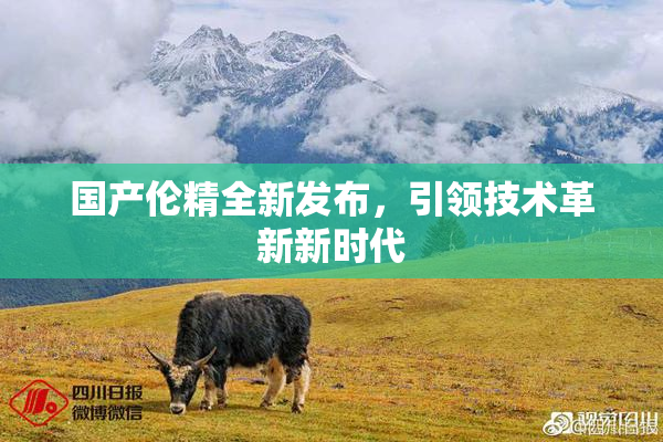 国产伦精全新发布，引领技术革新新时代