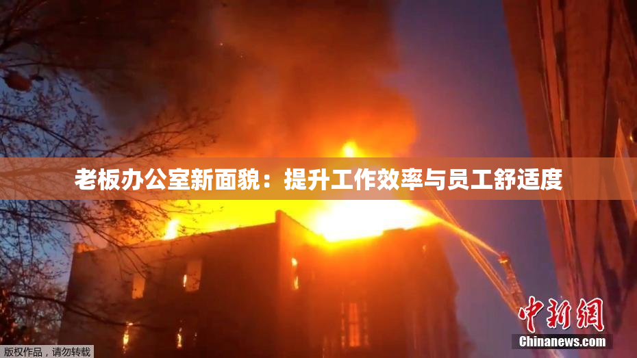 老板办公室新面貌：提升工作效率与员工舒适度