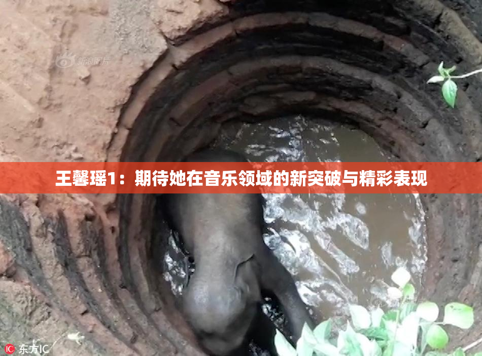 王馨瑶1：期待她在音乐领域的新突破与精彩表现
