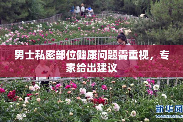 男士私密部位健康问题需重视，专家给出建议