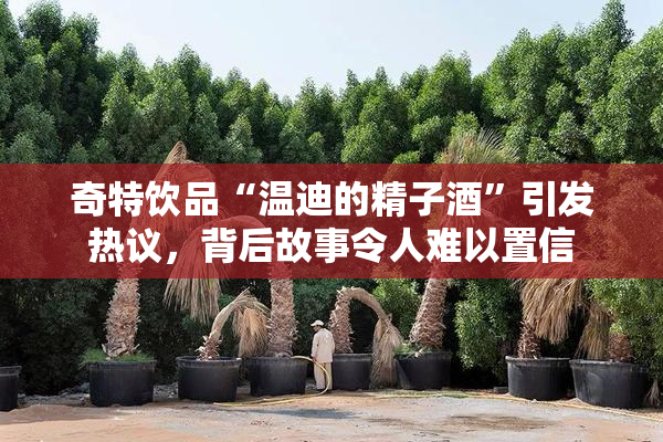 奇特饮品“温迪的精子酒”引发热议，背后故事令人难以置信