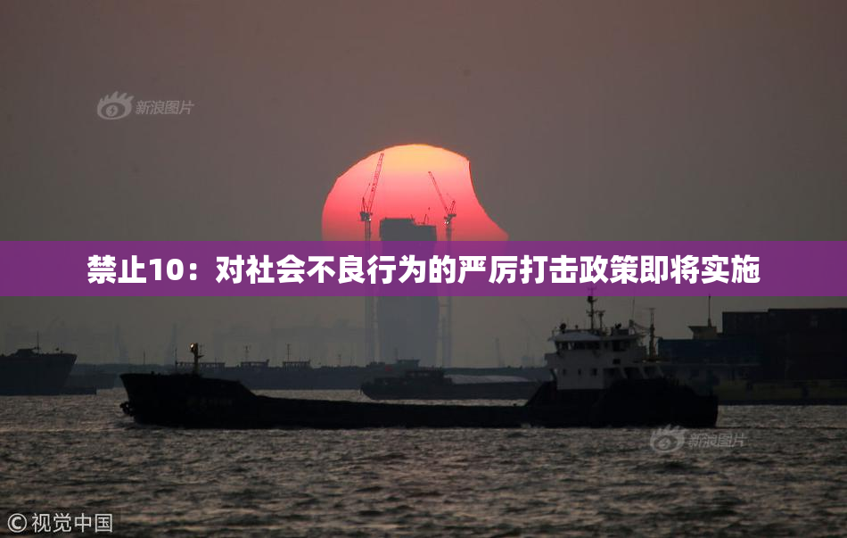 禁止10：对社会不良行为的严厉打击政策即将实施