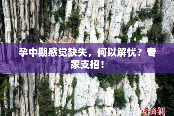 孕中期感觉缺失，何以解忧？专家支招！