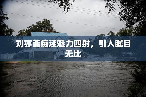 刘亦菲痴迷魅力四射，引人瞩目无比