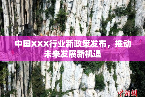 中国XXX行业新政策发布，推动未来发展新机遇