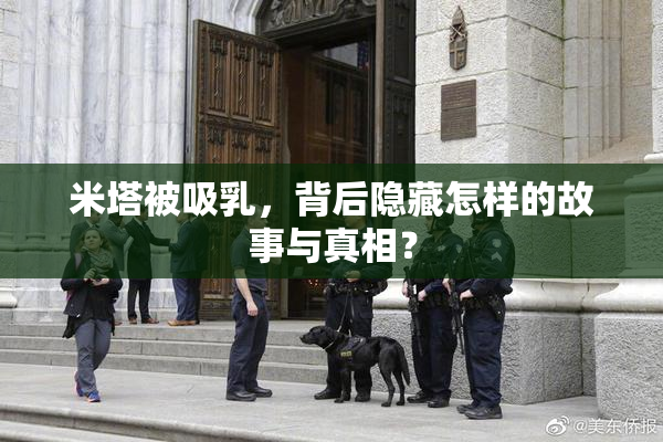 米塔被吸乳，背后隐藏怎样的故事与真相？