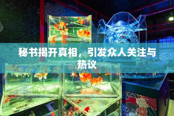 秘书揭开真相，引发众人关注与热议