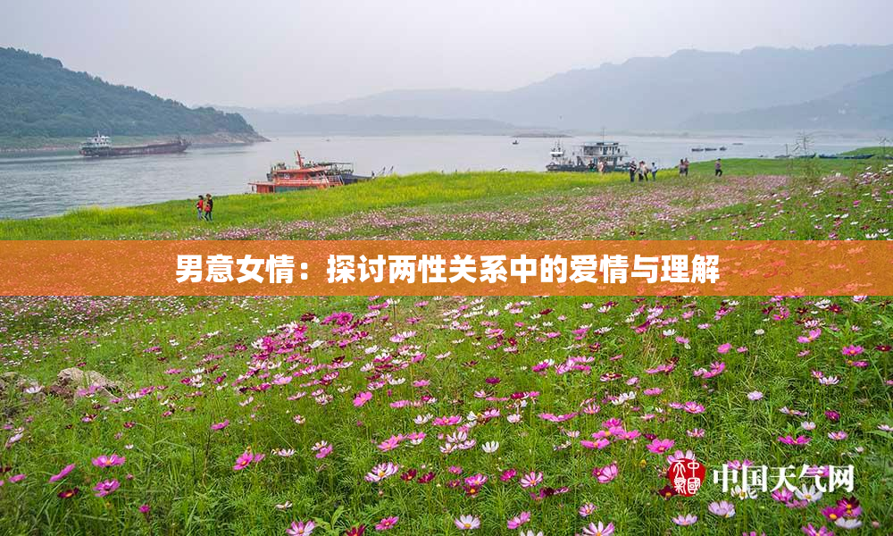 男意女情：探讨两性关系中的爱情与理解