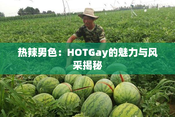 热辣男色：HOTGay的魅力与风采揭秘