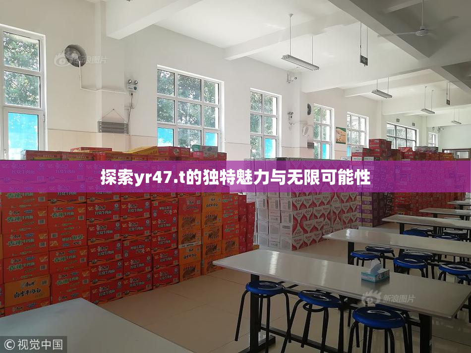探索yr47.t的独特魅力与无限可能性