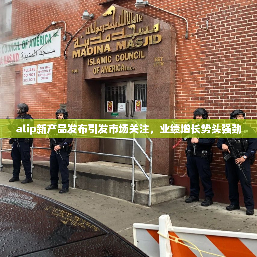 alip新产品发布引发市场关注，业绩增长势头强劲