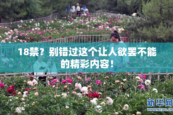 18禁？别错过这个让人欲罢不能的精彩内容！