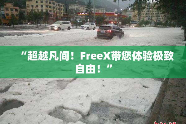 “超越凡间！FreeX带您体验极致自由！”