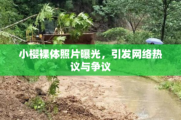 小樱裸体照片曝光，引发网络热议与争议