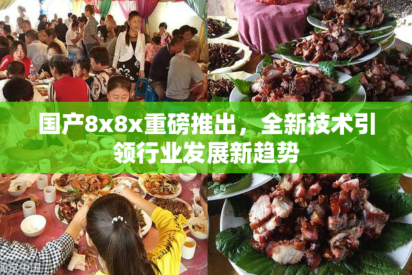 国产8x8x重磅推出，全新技术引领行业发展新趋势